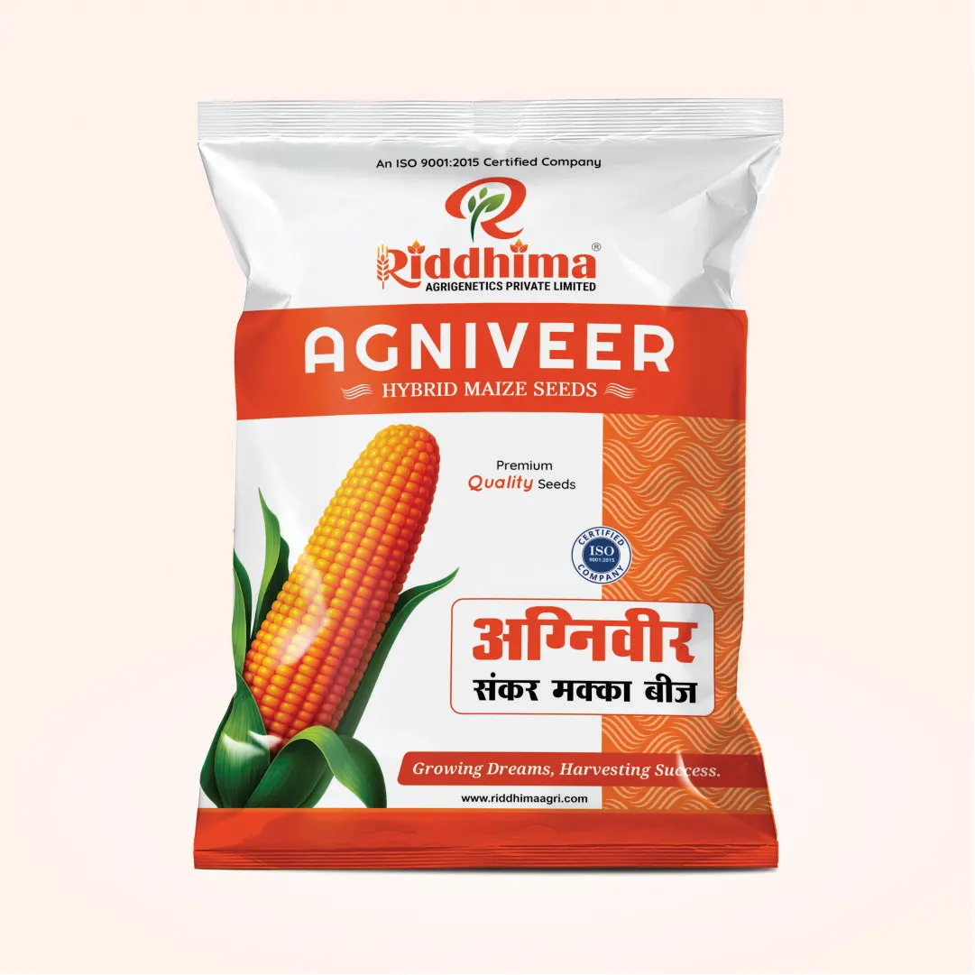 Agniveer-Hybrid-Maize-Seeds-By-Riddhima