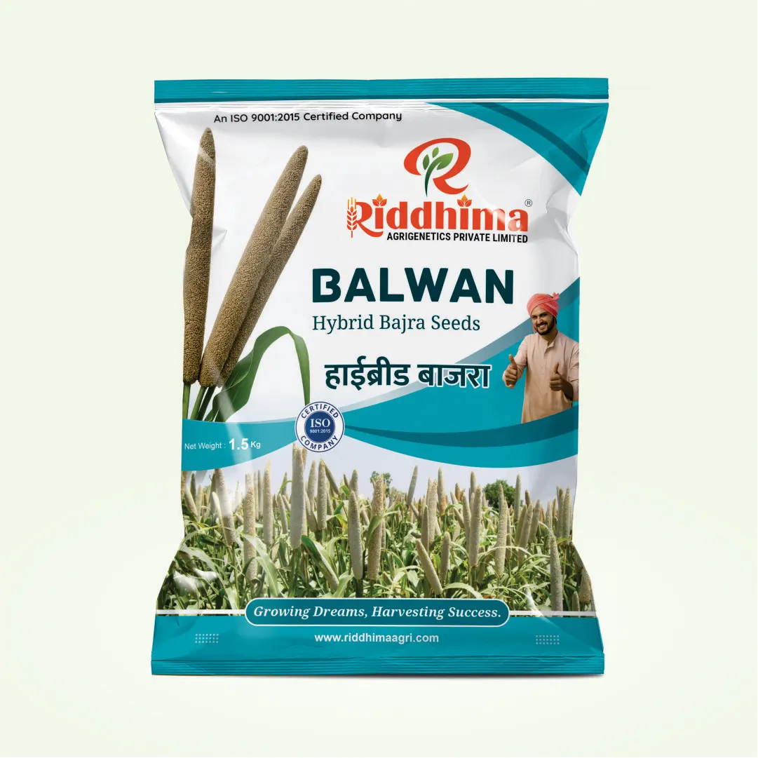 Balwan-Hybrid-Bajra-by-Riddhima