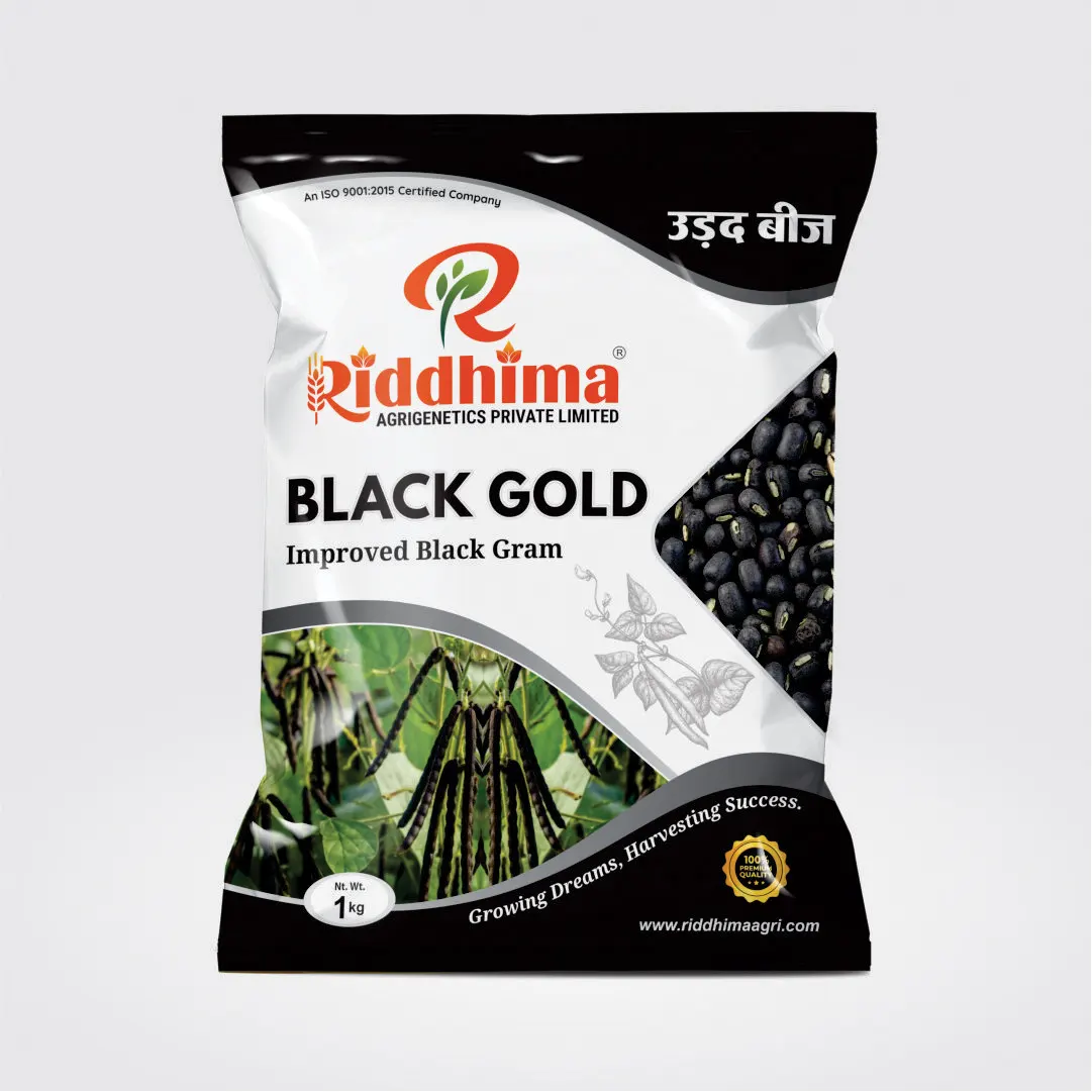 Black-Gold-Improved-Black-Gram-Seeds-by-Riddhima