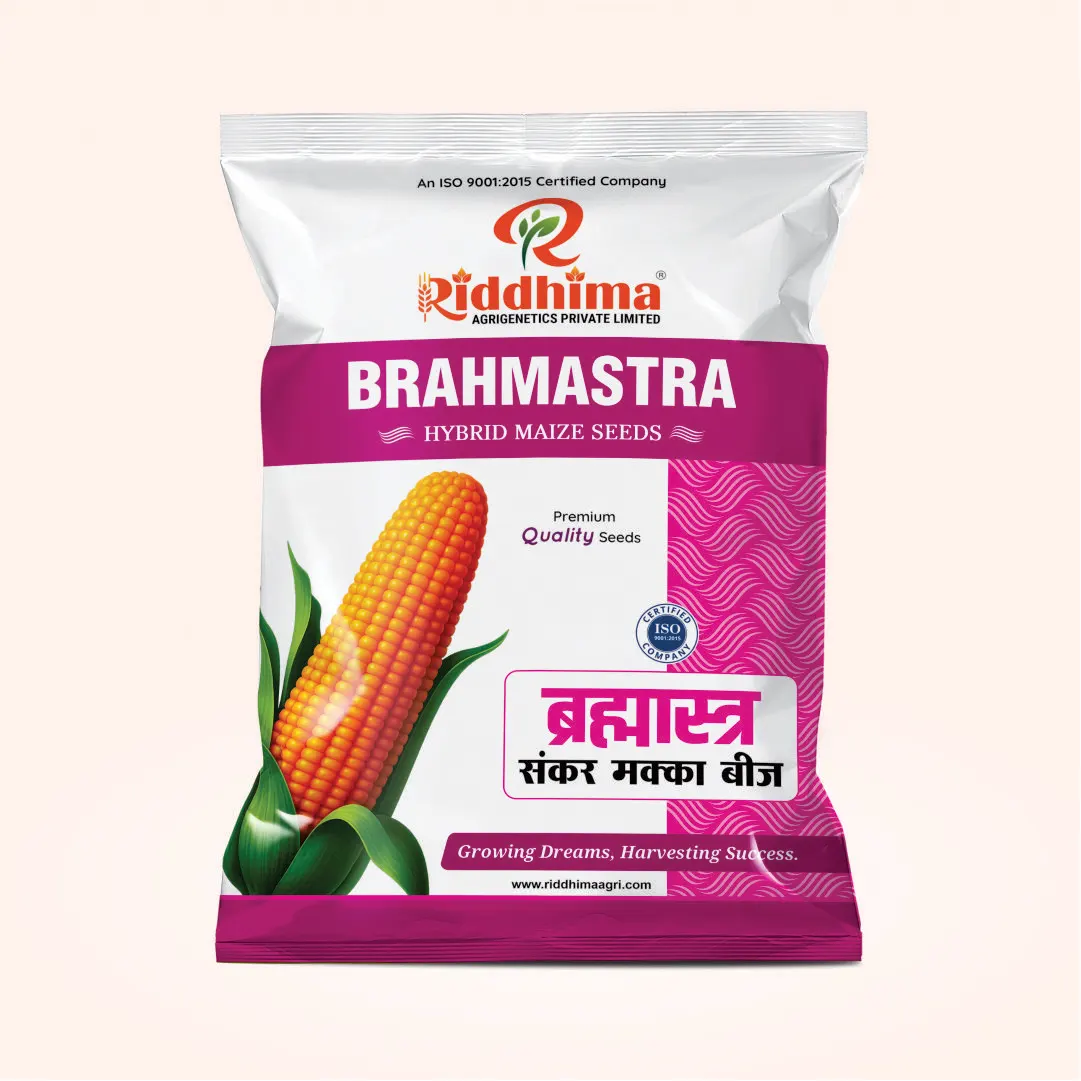 Brahmastra-Hybrid-Maize-Seeds-by-Riddhima