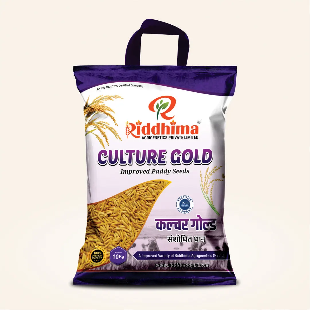 Culture-Gold-Improved-Paddy-Seeds-by-Riddhima