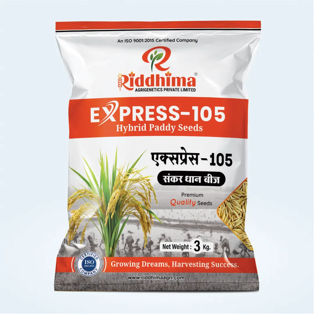 Express-105-Hybrid-Paddy-Seeds-by-Riddhima