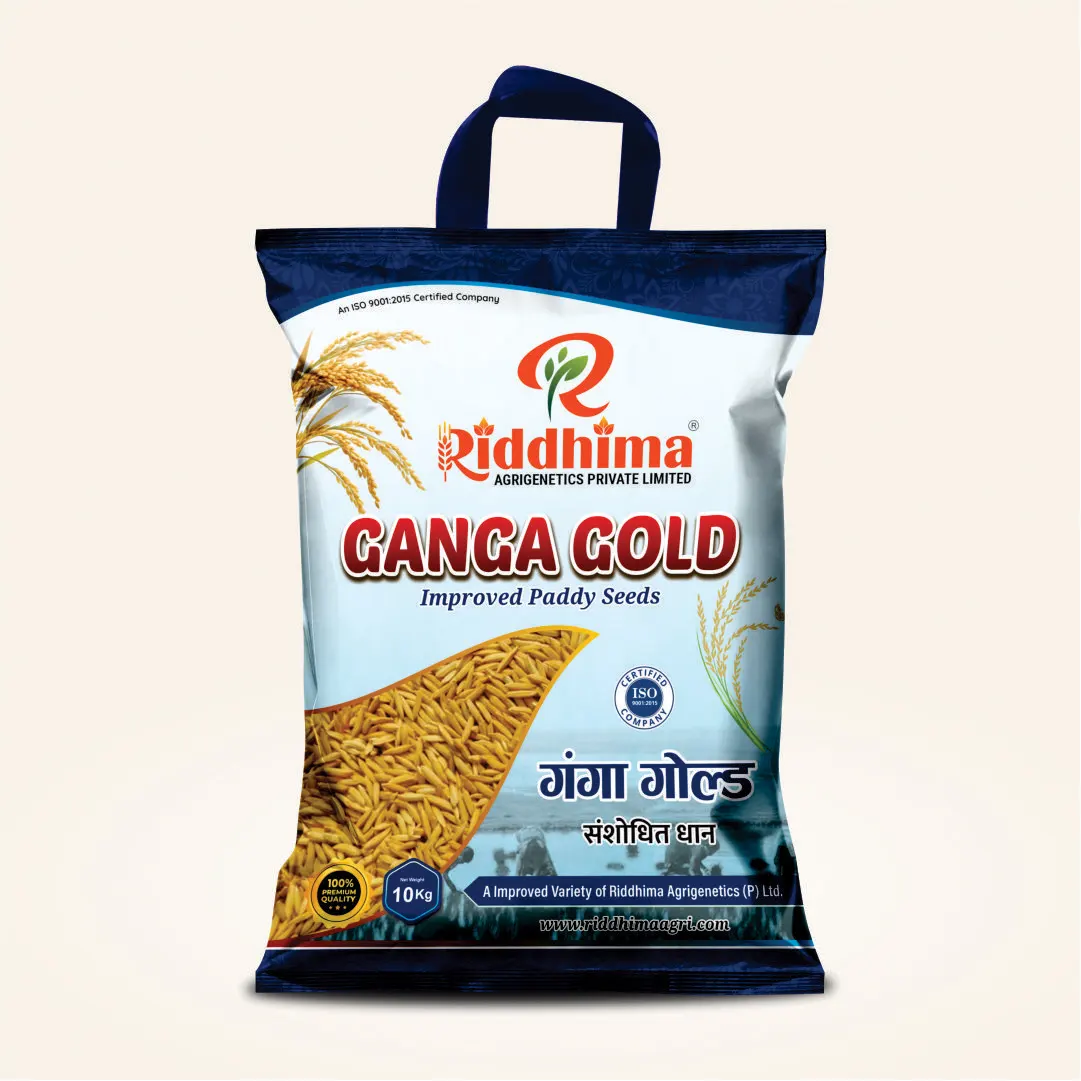 Ganga-Gold-Improved-Paddy-Seeds-by-Riddhima