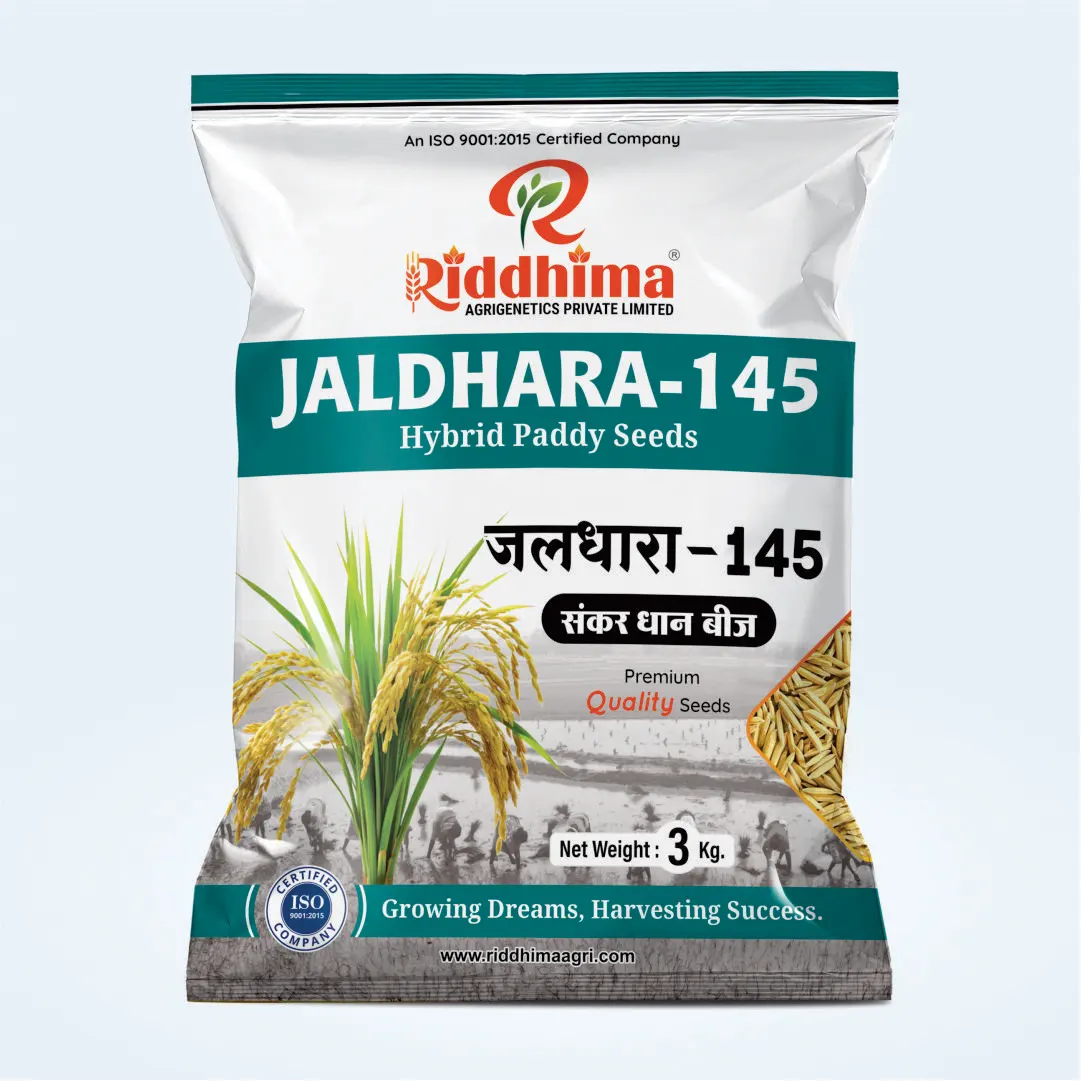 Jaldhara-145-Hybrid-Paddy-Seeds-by-Riddhima