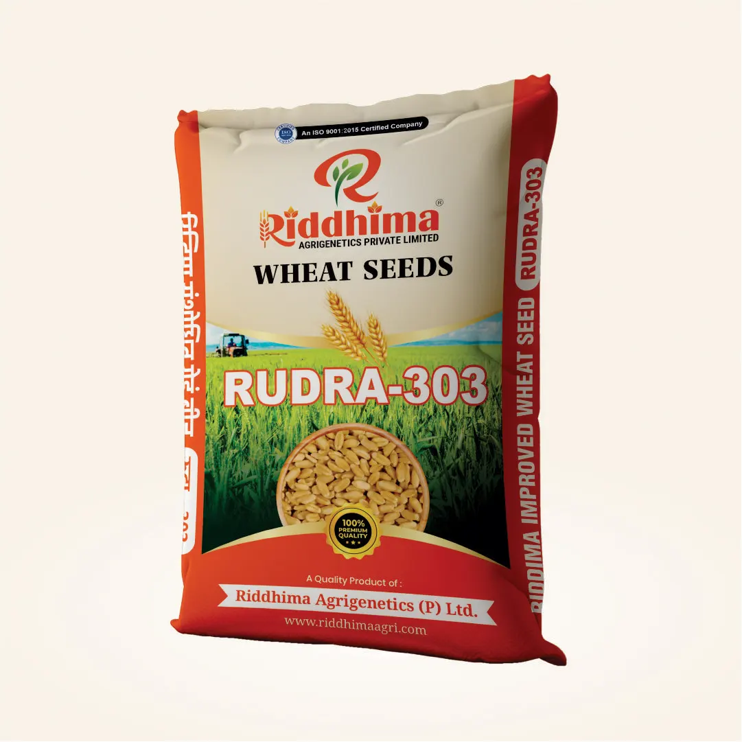 Rudra-303-Improved-Wheat-Seeds-by-Riddhima