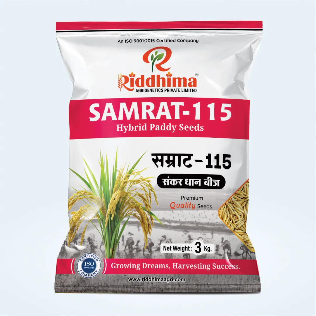 Samrat-115-Hybrid-Paddy-Seeds-by-Riddhima