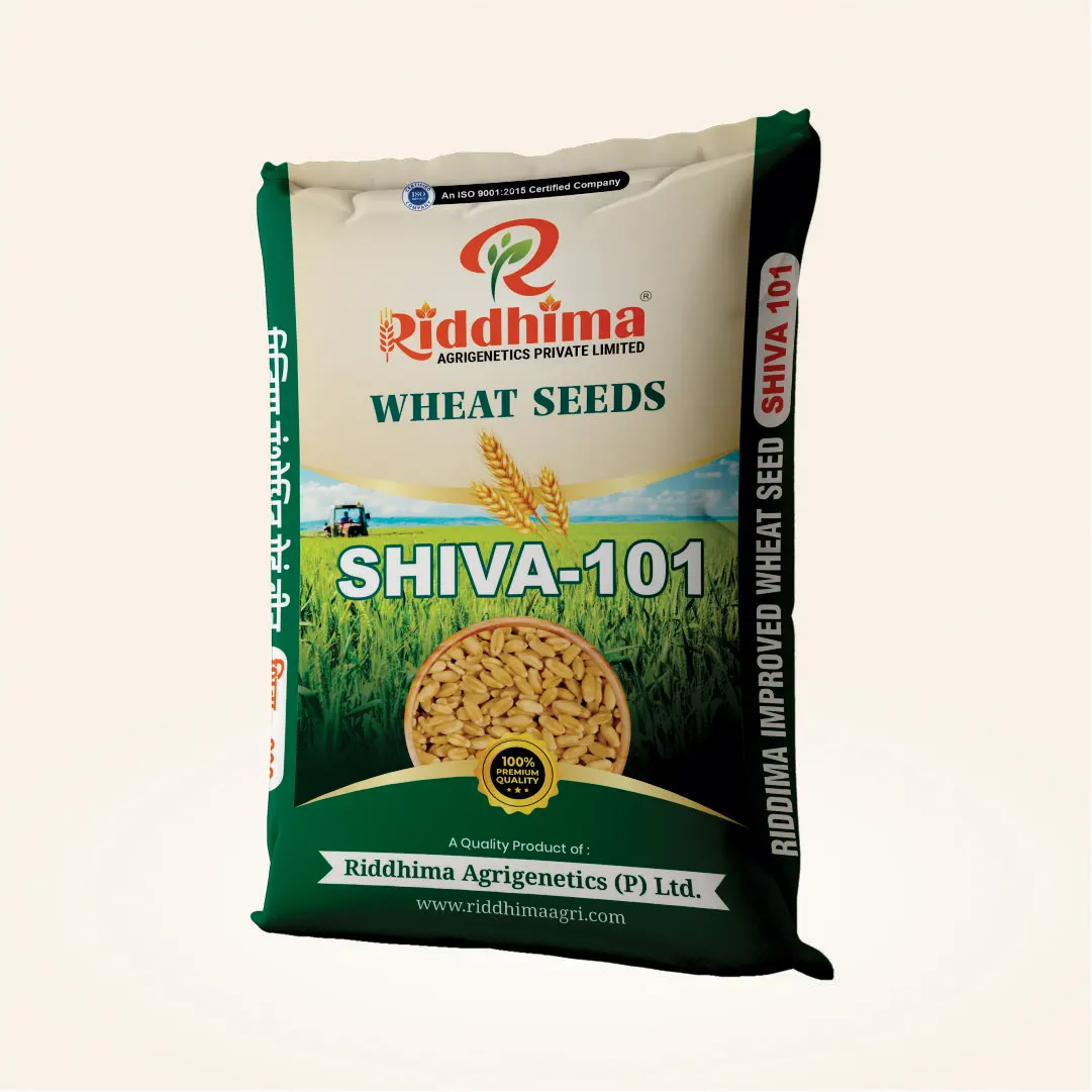 Shiva-101-Improved-Wheat-Seeds-by-Riddhima