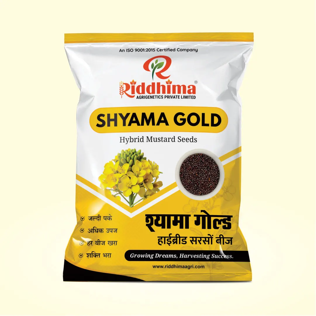 Shyama-Gold-Hybrid-Mustard-Seeds-by-Riddhima
