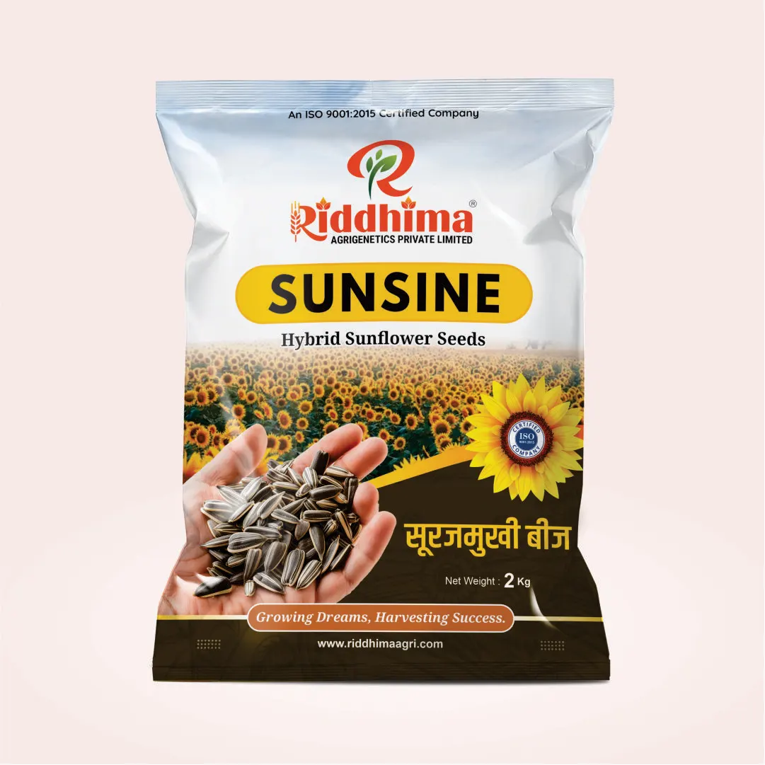 Sunsine-Hybrid-Sunflower-Seeds-by-Riddhima