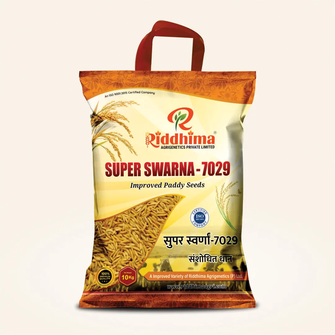 Super-Swarna-7029-Improved-Paddy-Seeds-by-Riddhima