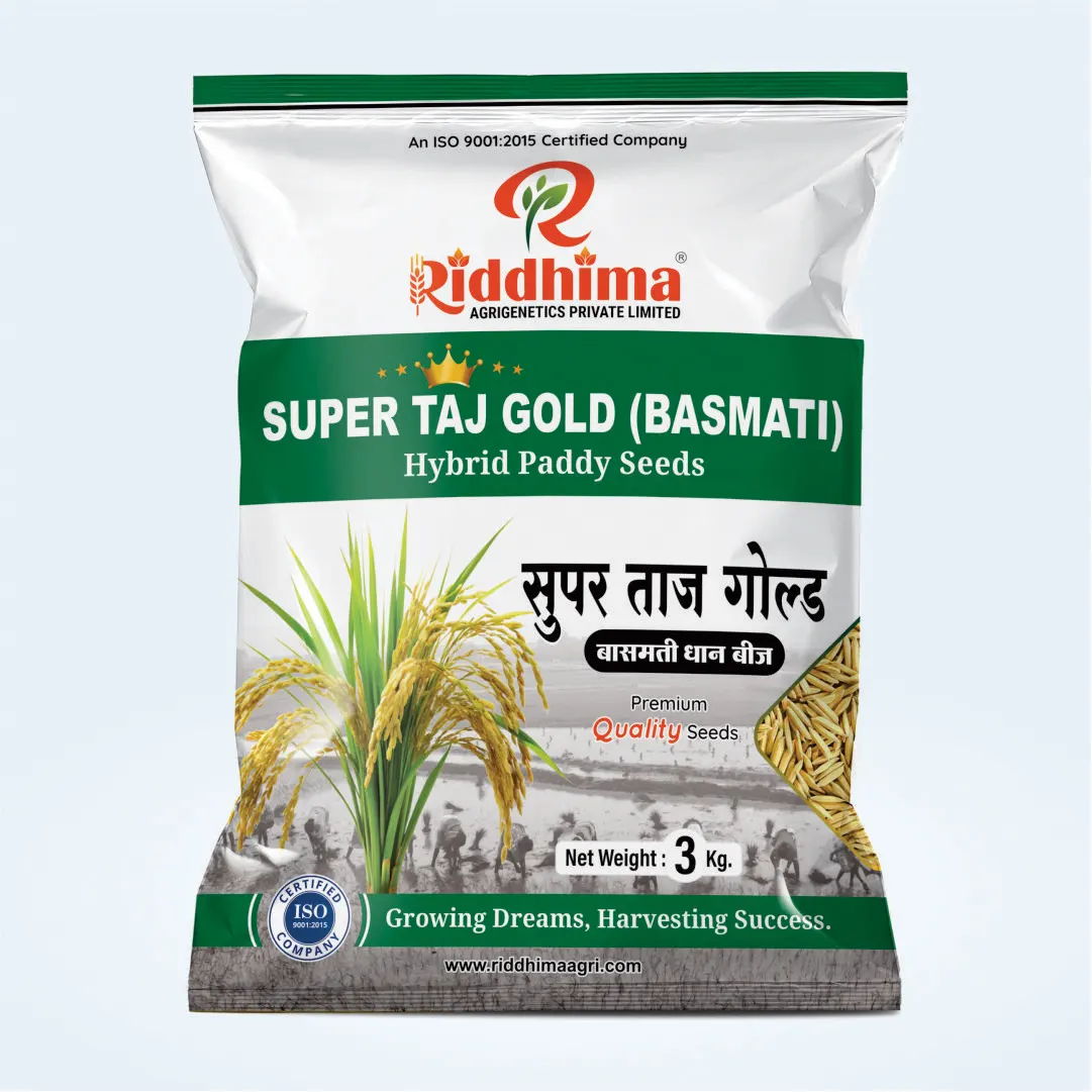 Super-Taj-Gold-Basmati-Hybrid-Paddy-Seeds-by-Riddhima