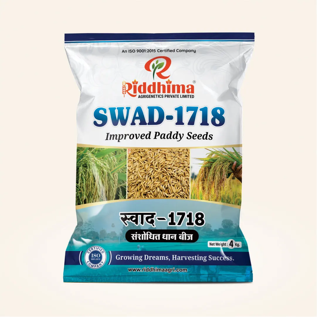 Swad-1718-Improved-Paddy-Seeds-by-Riddhima