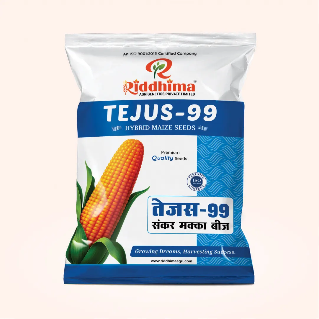 Tejus-99-Hybrid-Maize-Seeds-by-Riddhima