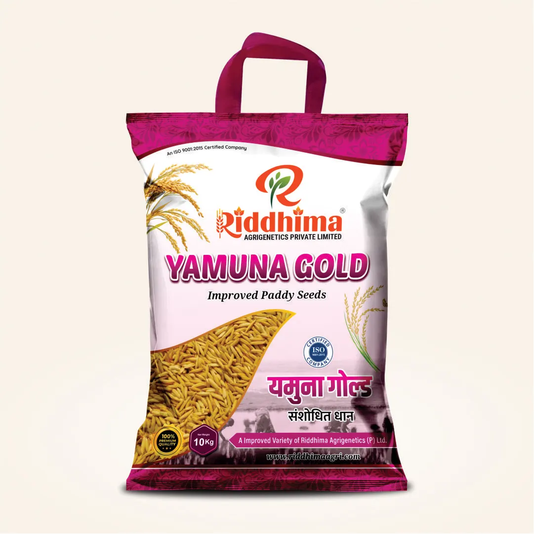 Yamuna-Gold-Improved-Paddy-Seeds-by-Riddhima