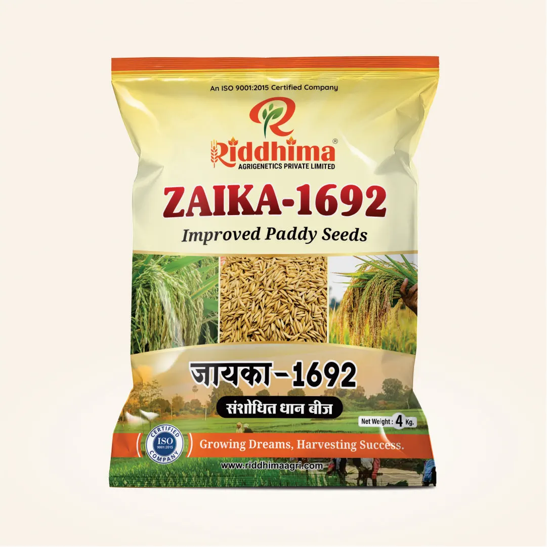 Zaika-1692-Improved-Paddy-Seeds-by-Riddhima