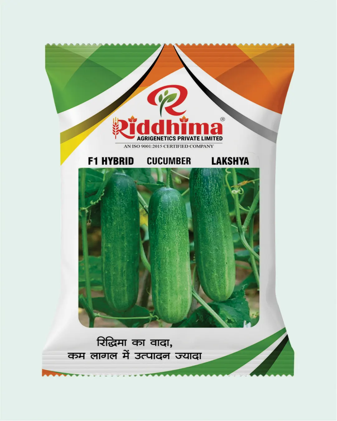 Hybrid Cucumber-Lakshya