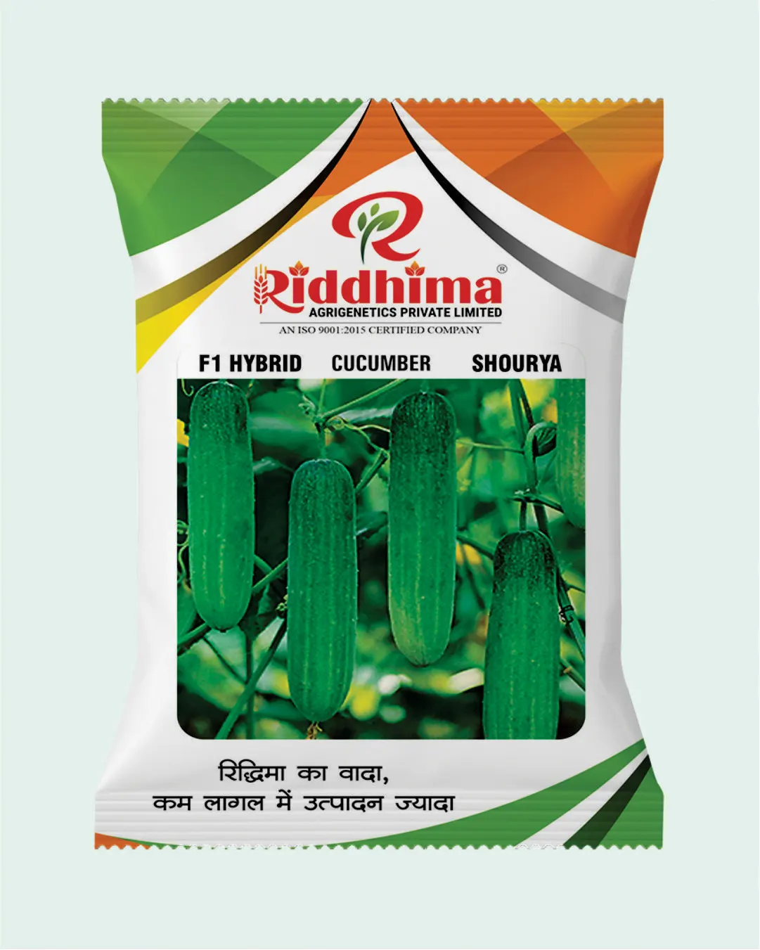 Hybrid Cucumber-Shourya