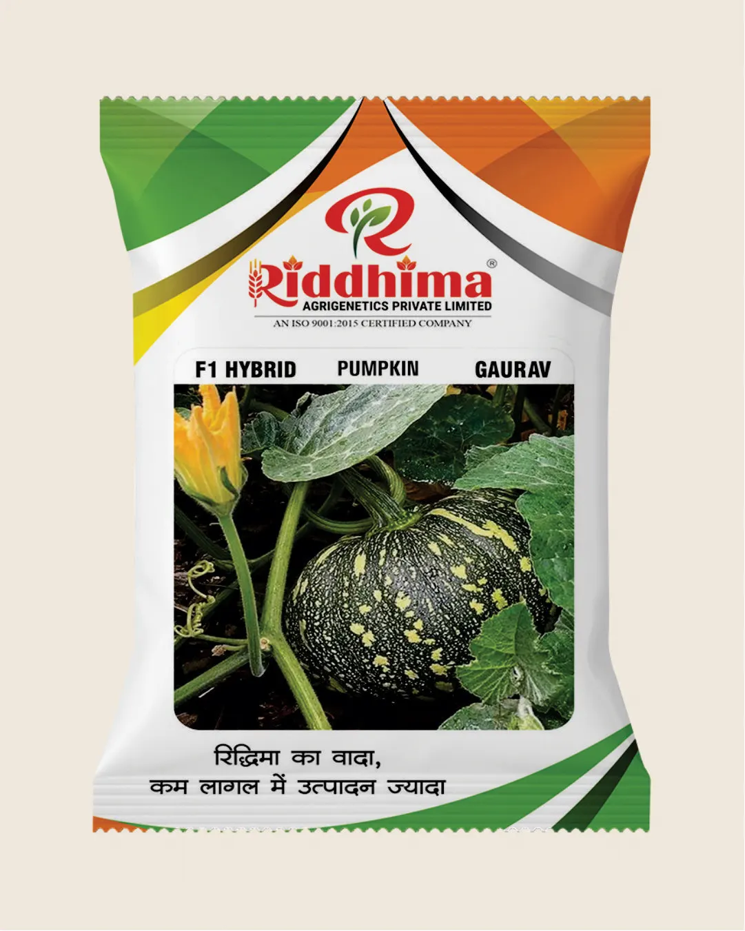 Hybrid Pumpkin-Gaurav