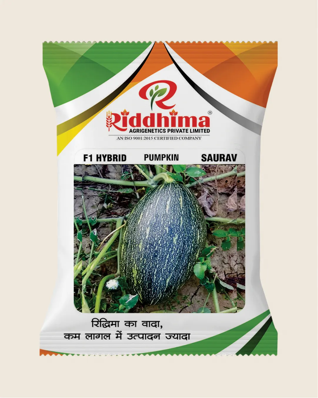 Hybrid Pumpkin-Saurav