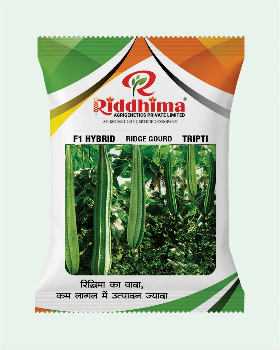 Hybrid Ridge Gourd-Tripti
