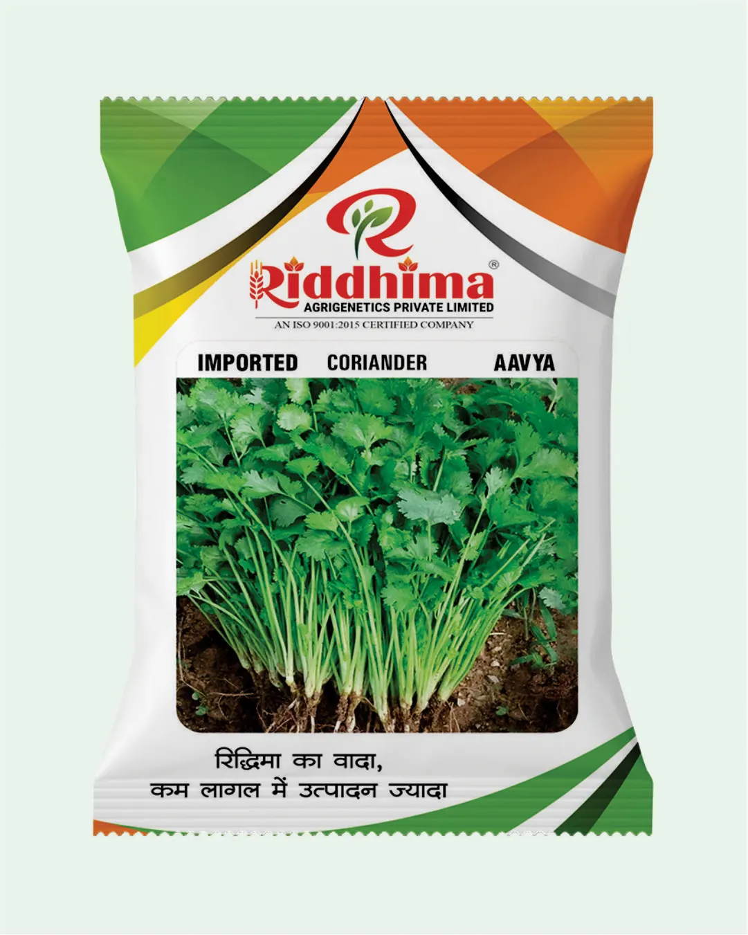 Imported Coriander-Aavya